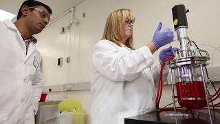 KGI Master of Engineering in Biopharmaceutical Processing