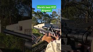 World's best PCP Airguns | Brutally Accurate #fxairguns