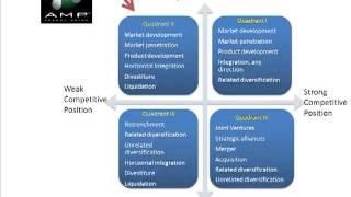 Grand Strategy Matrix