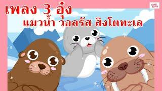 เพลง 3 อุ๋ง | แมวน้ำ วอลรัส สิงโตทะเล | #เพลงเด็กเจ้าตัวเล็ก - Kiddy Melody