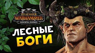 Орион на охоте в Total War Warhammer 3 - прохождение за лесных эльфов - часть 1