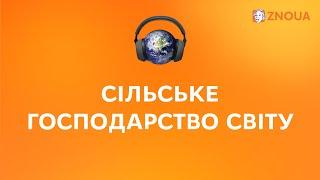 Світове господарство світу