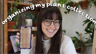 how I'm keeping my plant collection organized in 2023 🪴