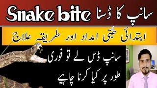 snake bite treatment in urdu | First Aid of Snake Bite | Saanp k kaatne k bad kya Karen