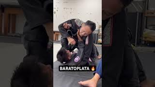 BJJ Baratoplata Professor Mike Chu