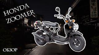 Honda Zoomer обзор