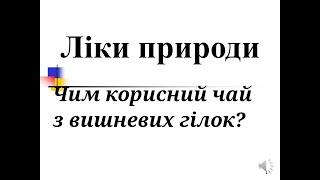 Чим корисний чай з вишневих гілок?