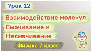 Урок 12. Взаимодействие молекул. Смачивание и несмачивание