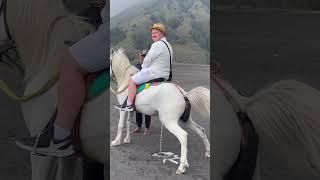 Horse want to pee  #horses #shortsfeed #shortsvideo #animals #animalshorts #bromoadventure #bromo