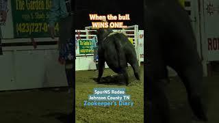 ANGRY BULL GONE WILD #bullriding Wreck  SPUR NS Rodeo Johnson County TN 5/25 #chargingbull #rodeo