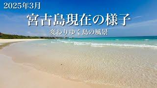 【ついに！】3月現在の宮古島｜島の変化、見どころ、最新飲食店まとめ