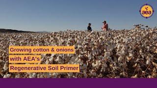 Growing cotton and onions with AEA's Regenerative Soil Primer | Regenerative farmer James Johnson