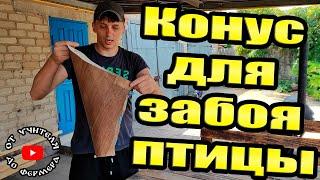 Лучший конус для забоя птицы!