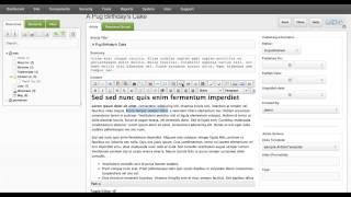 How to Post A New Blog Posting in MODX