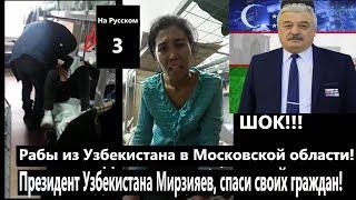 Рабы из Узбекистана в Московской области! Президент Узбекистана Мирзияев, спаси своих граждан!