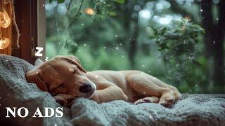 12 Hours of Music Therapy for DogsStress Relief and Deep Rest,Soothing music for dogs