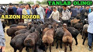 БУГУНГИ КУЙ КУЗИ НАРХЛАРИ 2025.КАШКАДАРЁ ВИЛОЯТИ КАМАШИ ПИОНЕРКА МОЛ БОЗОРИ НАРХЛАРИ 2025.