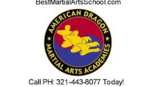 WELCOME TO OUR CHANNEL! We are the American Dragon Martial Arts Academies Founded in 1984