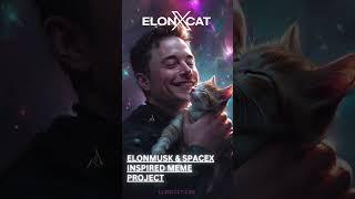 ElonXCat The Meme Project That’s Changing Everything