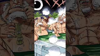 One Piece Errors That You May Have Completely Missed #onepiece #shorts #devilfruit #luffy #sanji 