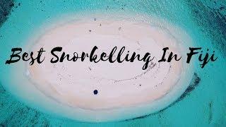 Best Snorkelling Spots In Fiji With Sharks | Fiji Vlog 2