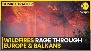 Europe: Residents of Rome were alarmed by large fire | WION Climate Tracker