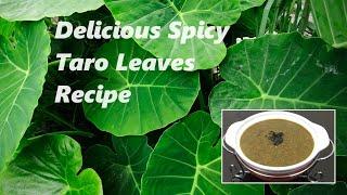 Delicious Spicy Taro Leaves Recipe