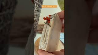 Органическое мыло рябина-уголь