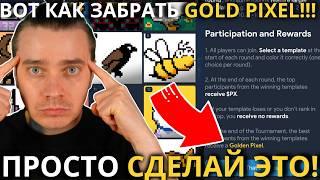 ️NOT PIXEL 🟢 СРОЧНО! ВОТ ЧТО НУЖНО ДЕЛАТЬ ЧТОБЫ ВЫИГРАТЬ "GOLD PIXEL"! ПРАВИЛА УЧАСТИЯ В ТУРНИРЕ!!!