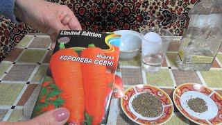 Как ускорить прорастание семян моркови