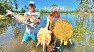 They Banned us from Harvesting Cooter Turtle but That didn’t Stop Us! Catch & Cook