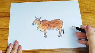 How to draw a Cow Easy | Cow drawing step by step