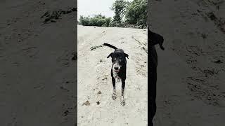 savran kuamr to do this for the same thing #your #comedy #subscribe