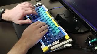 Custom Kit Adam Lego Keyboard Build | Lubed Cherry MX Blues