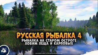 Русская Рыбалка 4  — оз. Старый Острог, Лещ и Карп чешуйчатый