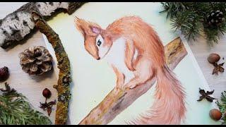 КАК НАРИСОВАТЬ БЕЛКУ How to draw a squirrel?  БЕЛКА АКВАРЕЛЬЮ Squirrel in watercolor