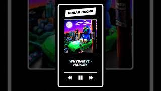 Песня WHYBABY? - HARLEY