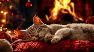 Calming Music for Cats  Music to Relieve Anxiety. Calm Your Cat with Our Relaxing Melodies