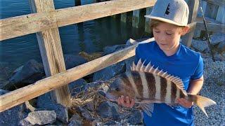 Sheepshead - A SHORE THING