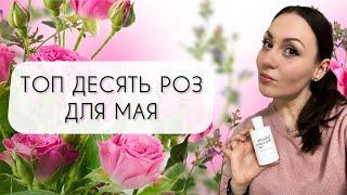 ДЕСЯТЬ РОЗ ДЛЯ МАЯ\ ЛЮБИМЫЕ АРОМАТЫ С РОЗОЙ