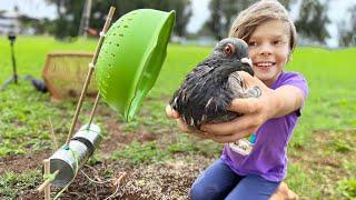 We Trapped Pigeons For Urban Survival Food