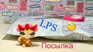 LPS Кошка с блёстками? Такая существует? Что в посылке?