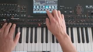 Юрий Шатунов - Вечер холодной зимы / Instrumental (Korg Pa4x & Danekoo1 )