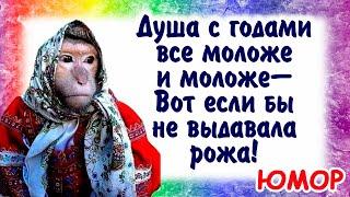 Юморнем?! Позитивчик! Улыбочку! Юмор про прекрасный возраст. Делитесь с друзьями! Доброе утро.