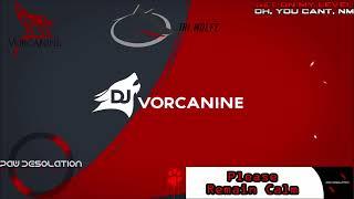 DJ Vorcanine - Please Remain Calm