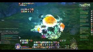 AION Client 64bit 18 Aug 16 5 43 14 PM