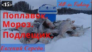 Поплавок. Мороз. Подлещик. "All-in Fishing". Вып.15.