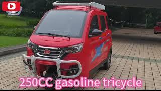 250cc 3-wheel Motorcycle Baja Taxi Motor Tricycle passenger Gasoline Trike