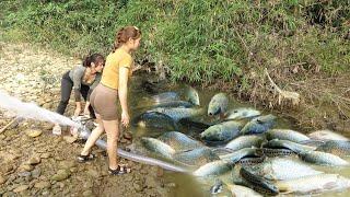 Greatest Fishing: The Girl Fishing, Catching Fish With Pump, Catch A Lot Off Fish in The Lake