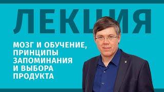 Лекция: Мозг и обучение, принципы запоминания и выбора продукта